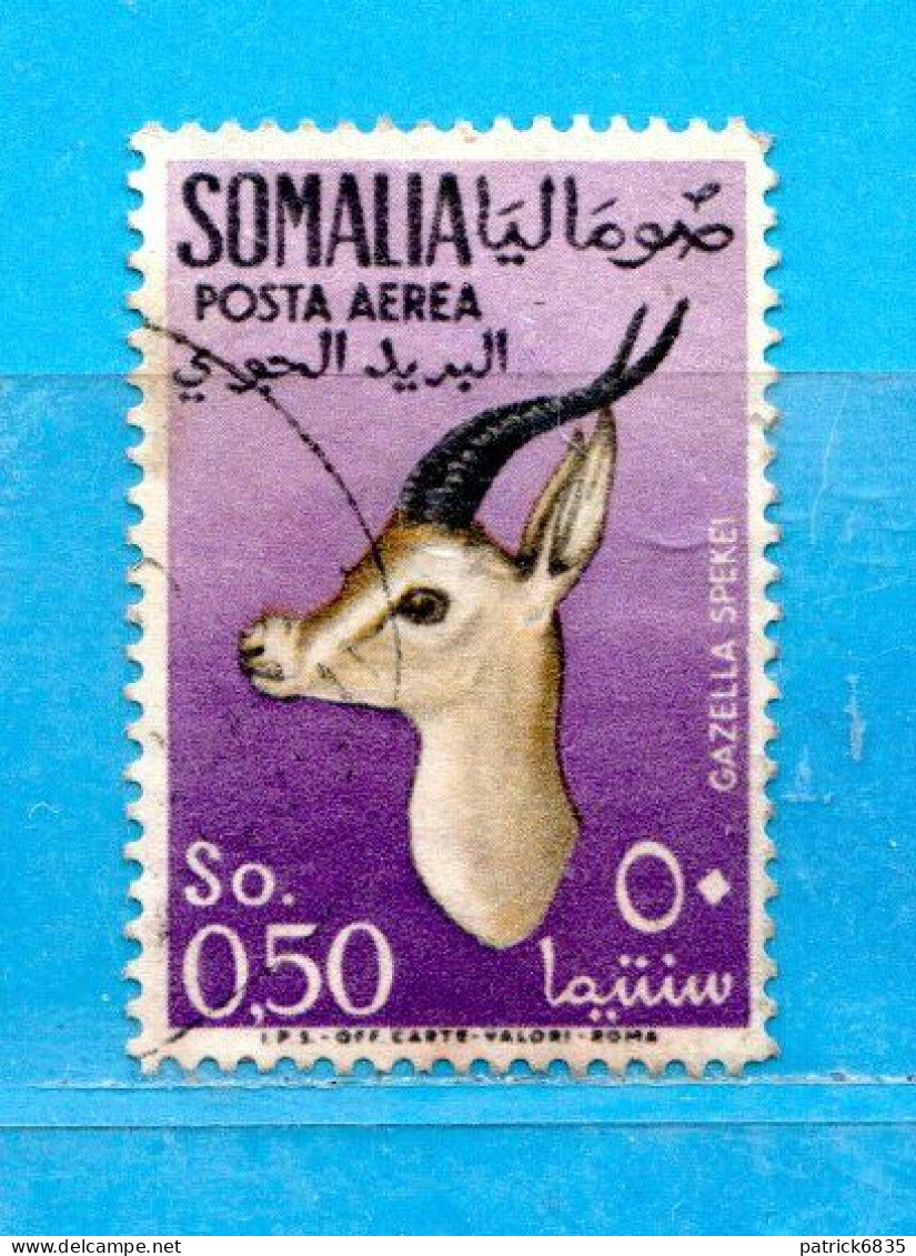 (Us8) SOMALIA - AFIS ° 1955 - ANIMALI -POSTA AEREA. Unif. A 28 .  Come Scansione. - Somalia (AFIS)