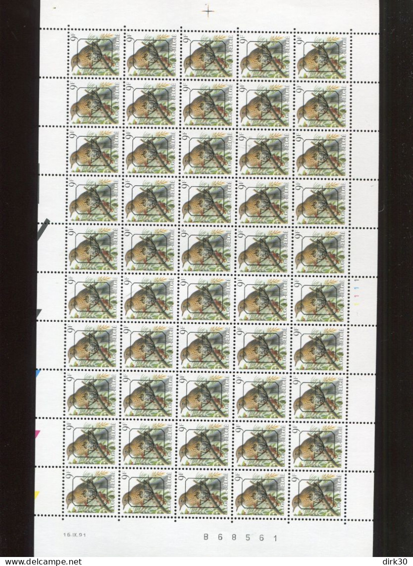 Belgie PRE833 2426 Buzin Volledig Vel FULL SHEET Vogels Birds Oiseaux MNH Plaatnummer 1 16/9/1991 OCB 500€ - 1981-1990