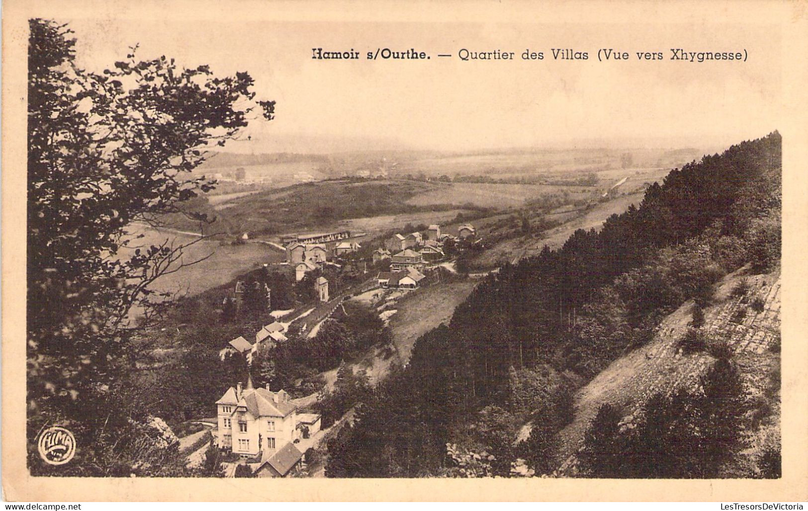 BELGIQUE - HAMOIR Sur Ourthe - Quartier Des Villas - Vue Vers Xhygnesse - Carte Postale Ancienne - Hamoir