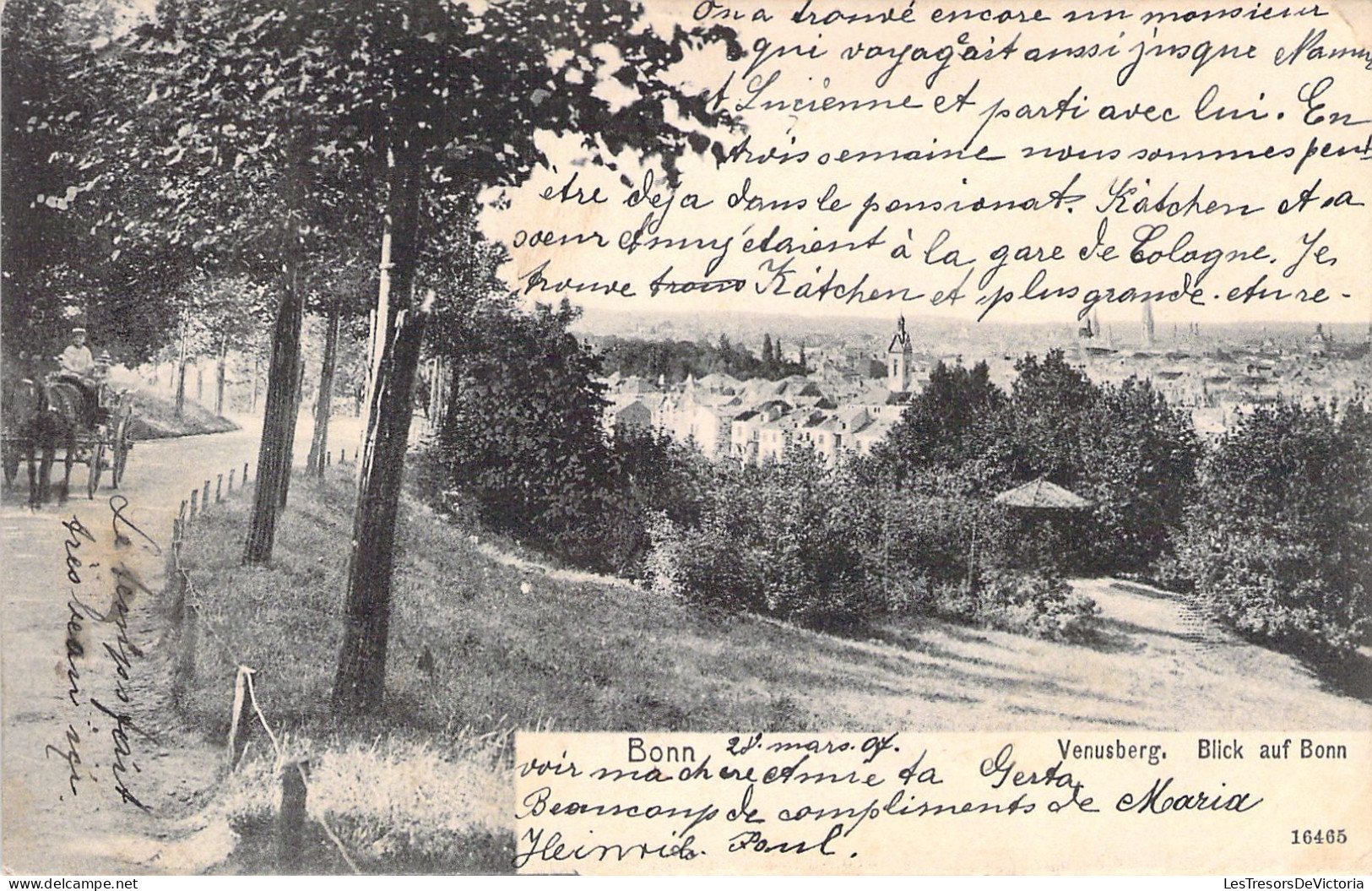 ALLEMAGNE - BONN - Venusberg Blick Auf Bonn - Carte Postale Ancienne - Bonn