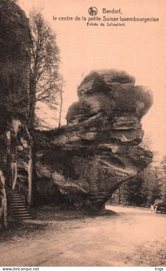 Berdorf - Entrée Du Schnellert - Berdorf