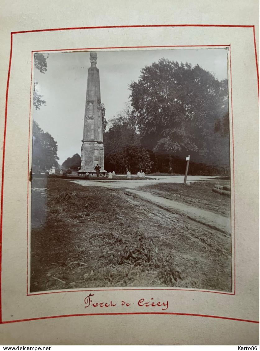 Crécy En Ponthieu * Rond Point En Forêt Et Colonne Monument * Photo Ancienne Albuminée Circa Début 1900 * 10x8.4cm - Crecy En Ponthieu