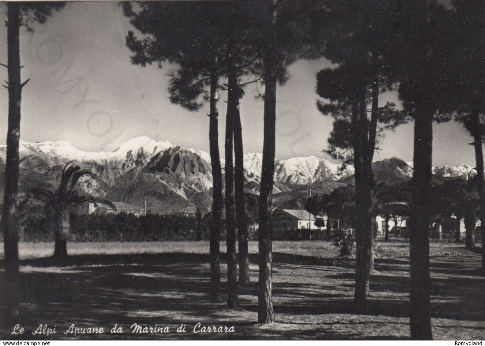 CARTOLINA  MARINA DI CARRARA,TOSCANA-LE ALPI APUANE DA MARINA DI CARRARA-MONTAGNA,VACANZA,BELLA ITALIA,VIAGGIATA 1954 - Carrara