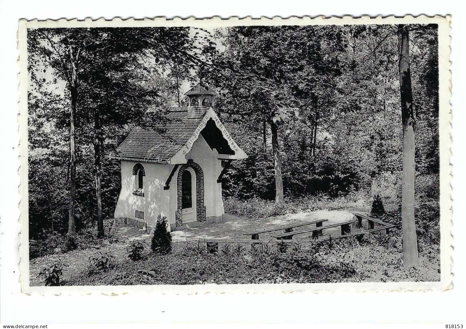 Kwaremont  Vredekapel - Chapelle Au Bois - Kluisbergen