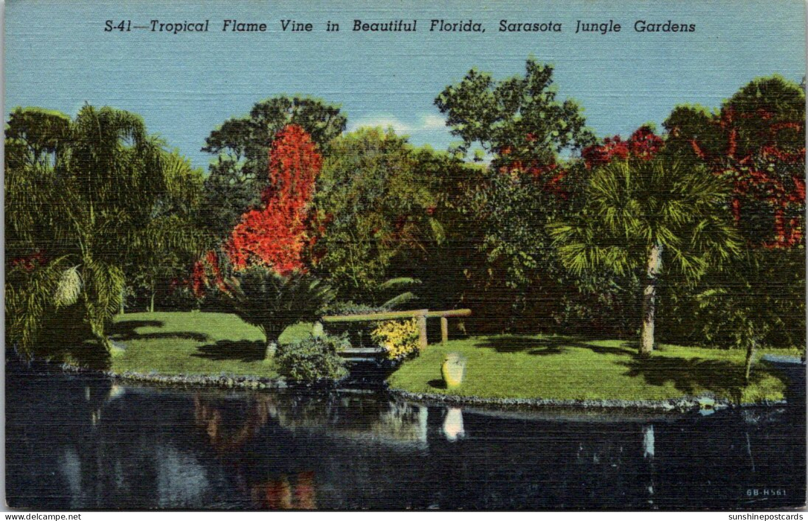 Florida Sarasota Jungle Gardens Tropical Flame Vine Curteich - Sarasota