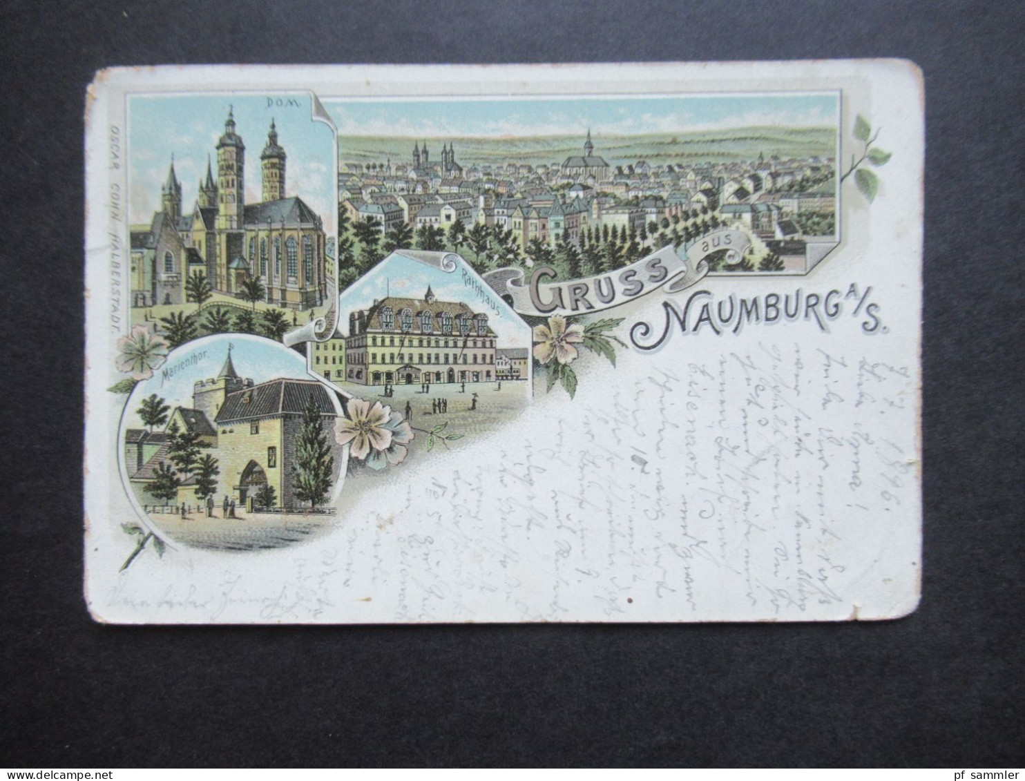 PK 1896 Litho Mehrbildkarte Gruss Aus Naumburg An Der Saale Marienthor, Dom Und Rathhaus Verlag Oscar Cohn Halberstadt - Gruss Aus.../ Grüsse Aus...