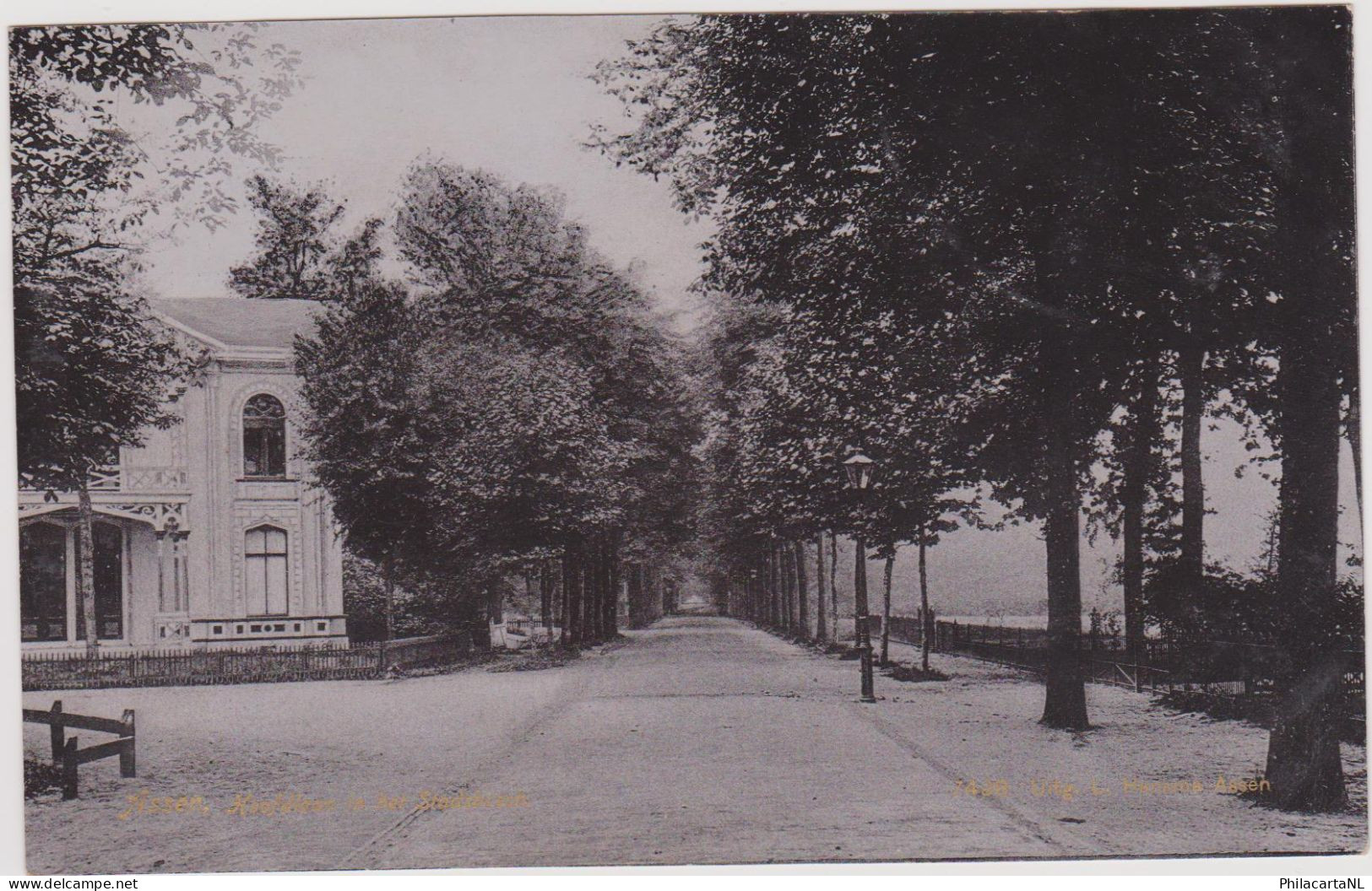 Assen - Hoofdlaan In Het Stadsbosch - 1905 - Assen