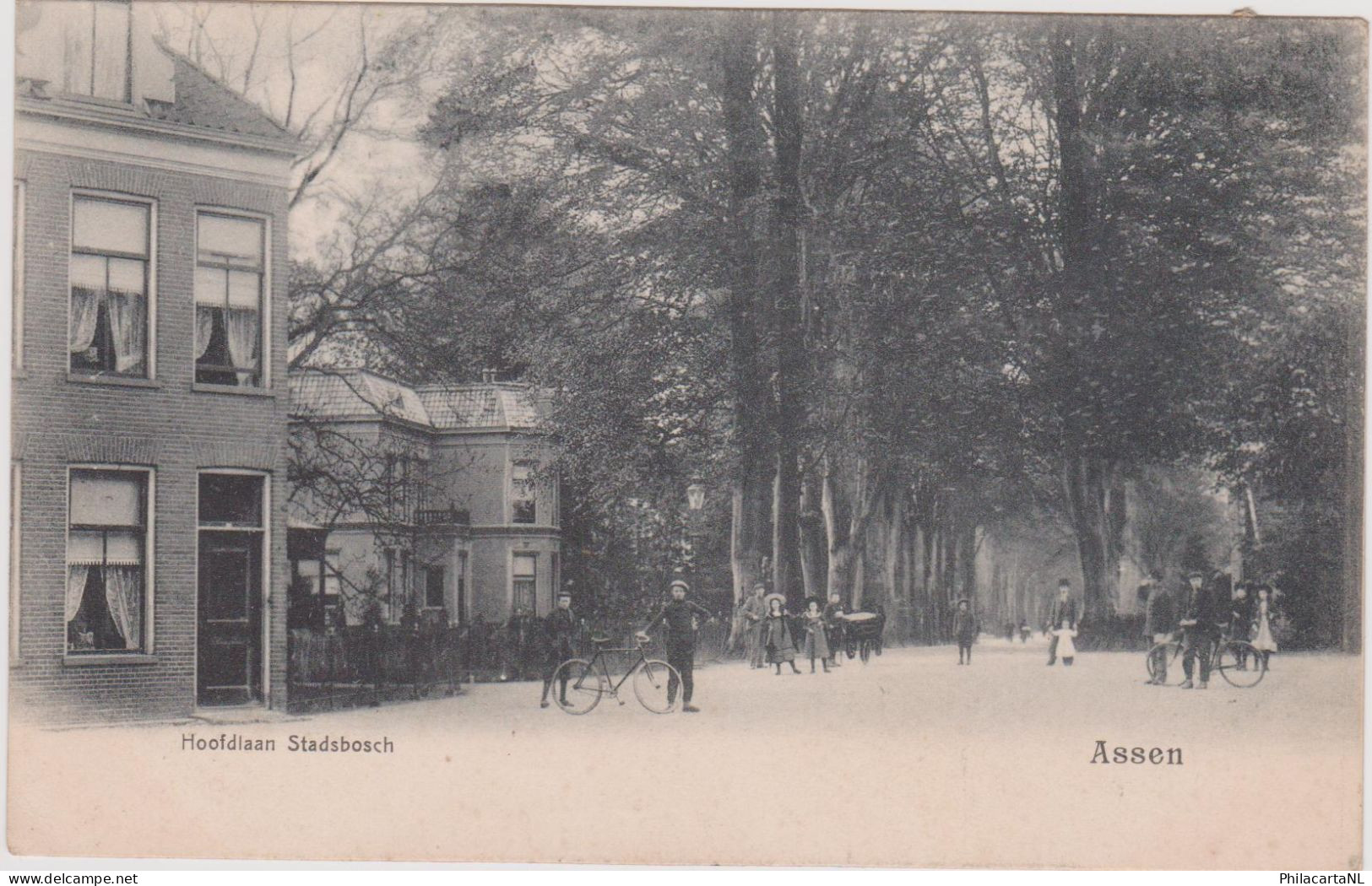 Assen - Hoofdlaan Stadsbosch Levendig - 1903 - Assen