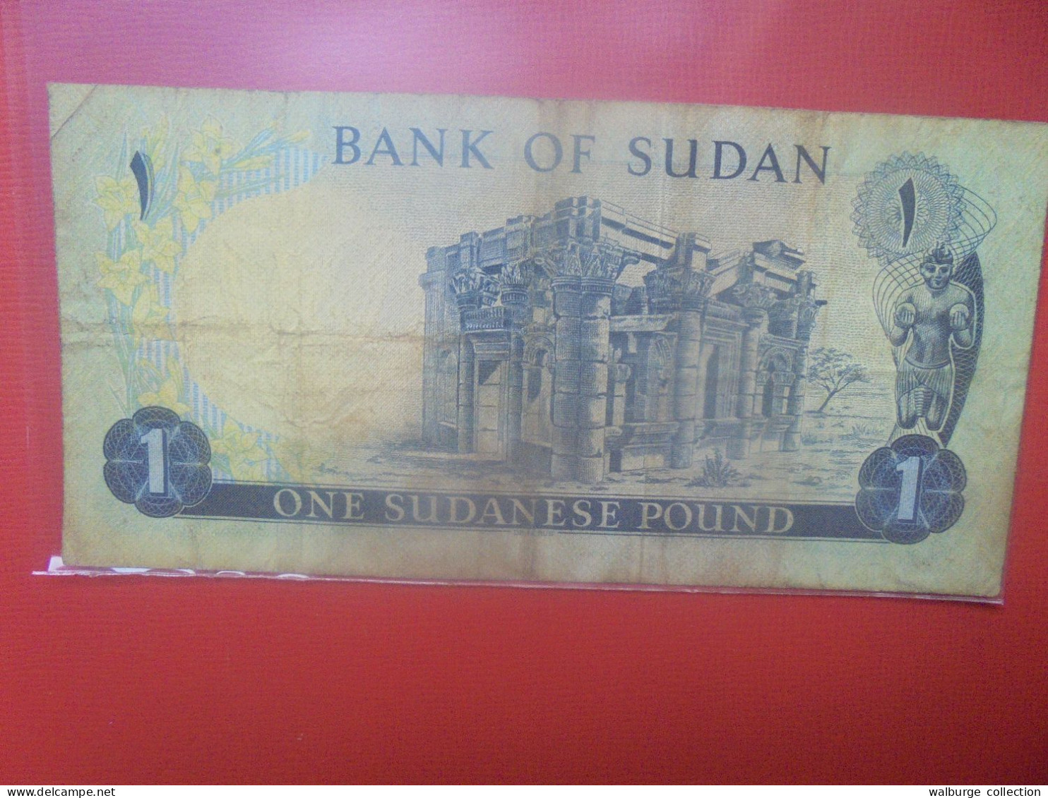 SOUDAN 1 POUND 1980 Circuler (B.29) - Sudan