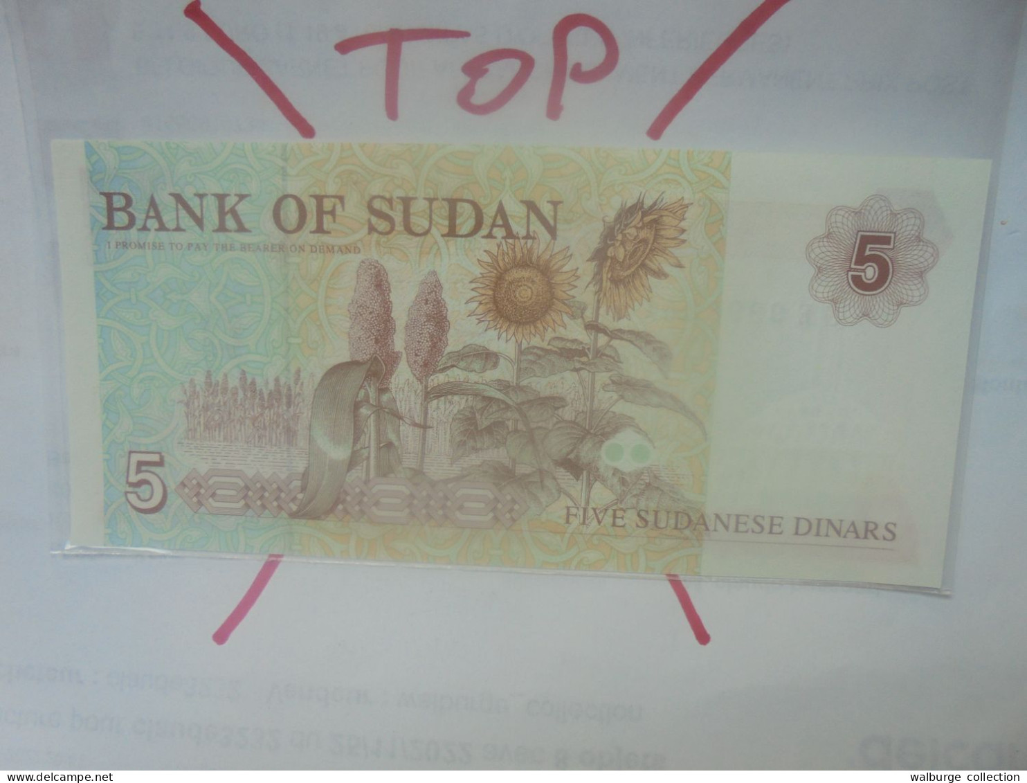 SOUDAN 5 DINARS 1993 Neuf (B.29) - Sudan
