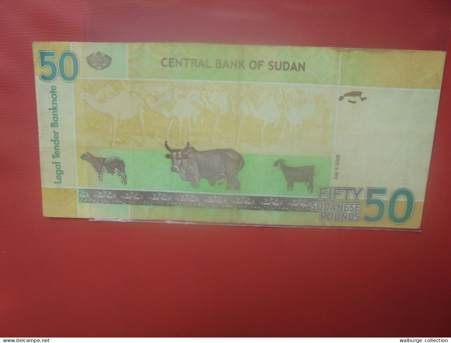 SOUDAN 50 POUNDS 2006 Circuler (B.29) - Sudan