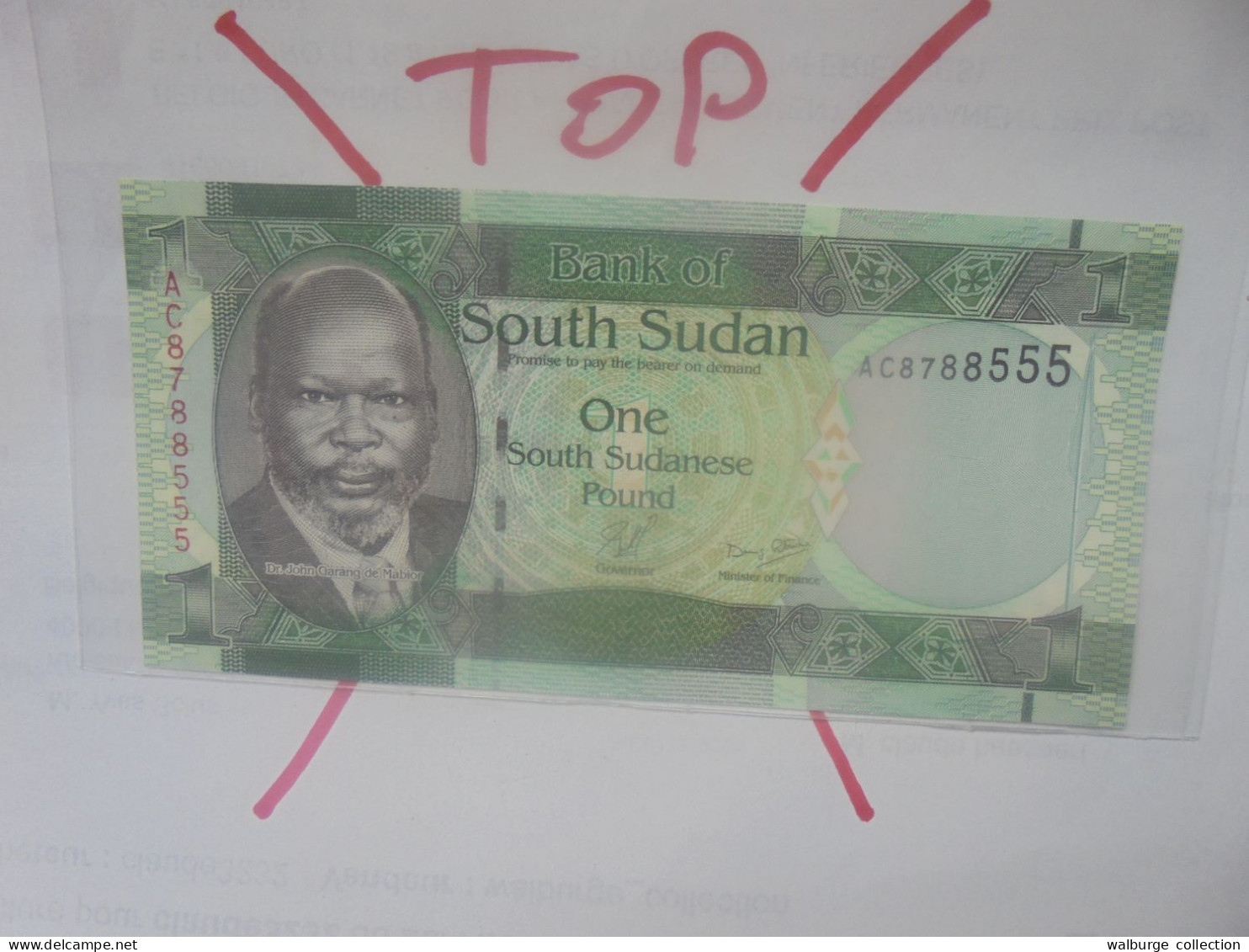 SOUDAN (SUD) 1 POUND 2011 Neuf (B.29) - South Sudan