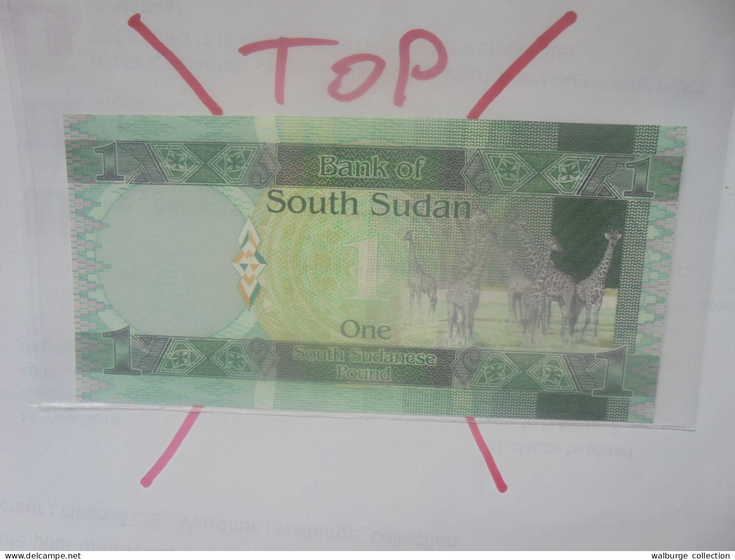 SOUDAN (SUD) 1 POUND 2011 Neuf (B.29) - South Sudan