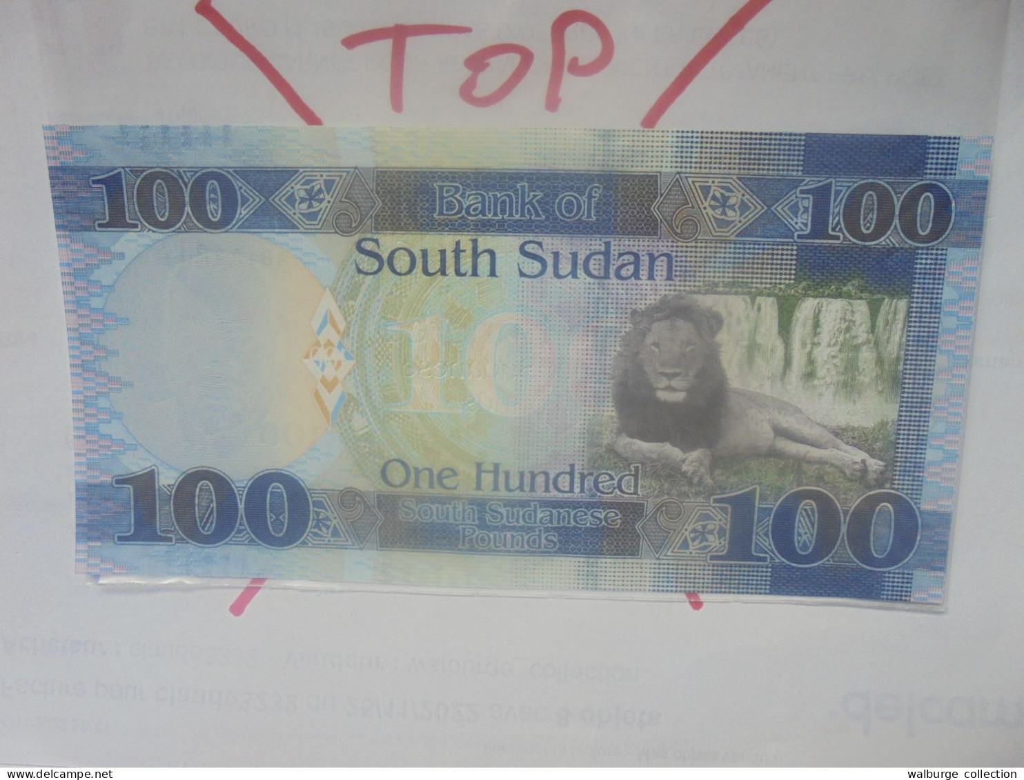 SOUDAN (SUD) 100 POUNDS 2015 Neuf (B.29) - Südsudan