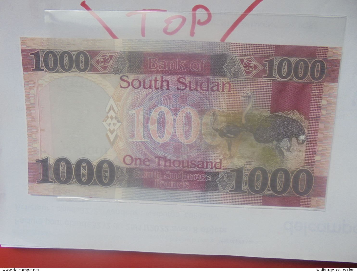 SOUDAN (SUD) 1000 POUNDS 2020 Neuf (B.29) - Sudan Del Sud