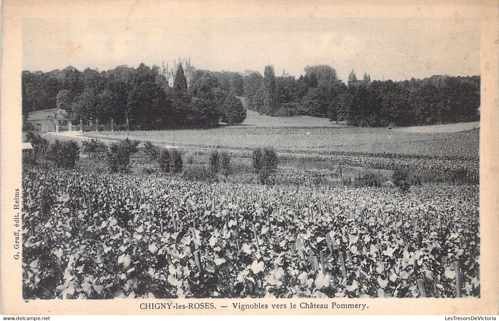 FRANCE - 51 - CHIGNY LES ROSES - Vignobles Vers Le Château De Pommery - Cartes Postales Anciennes - Autres & Non Classés