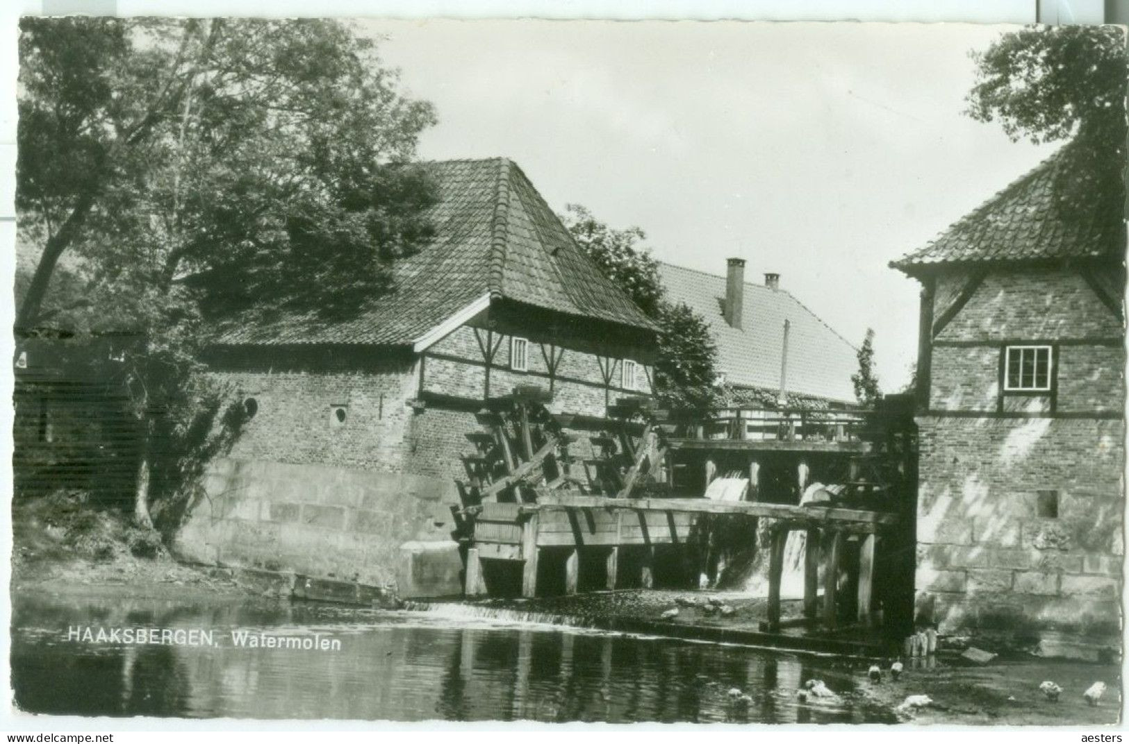 Haaksbergen 1969; Watermolen - Gelopen. (Rouwenhorst - Haaksbergen) - Haaksbergen