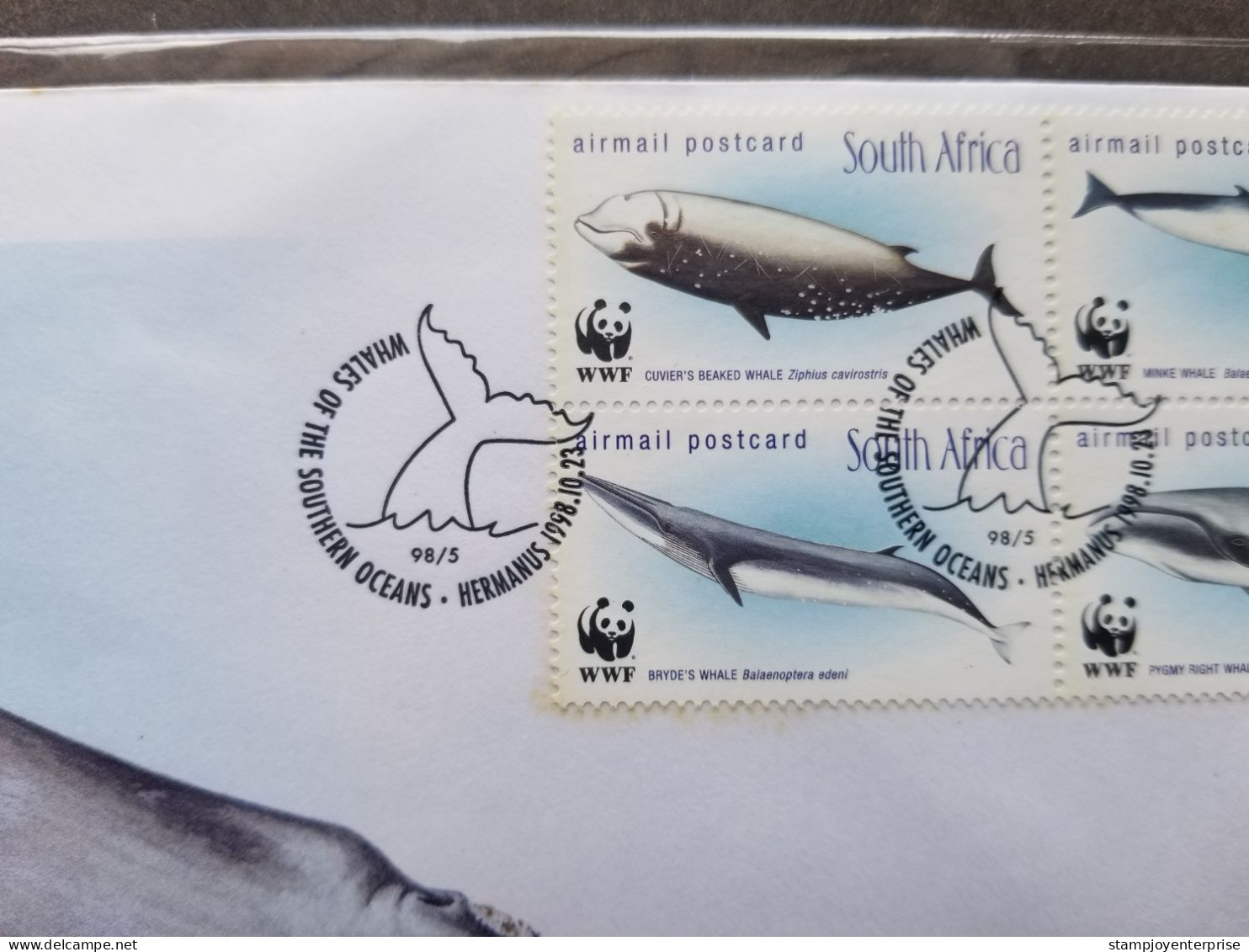 South Africa WWF Whales Southern Oceans 1998 Marine Life Whale (stamp FDC) *see Scan - Briefe U. Dokumente