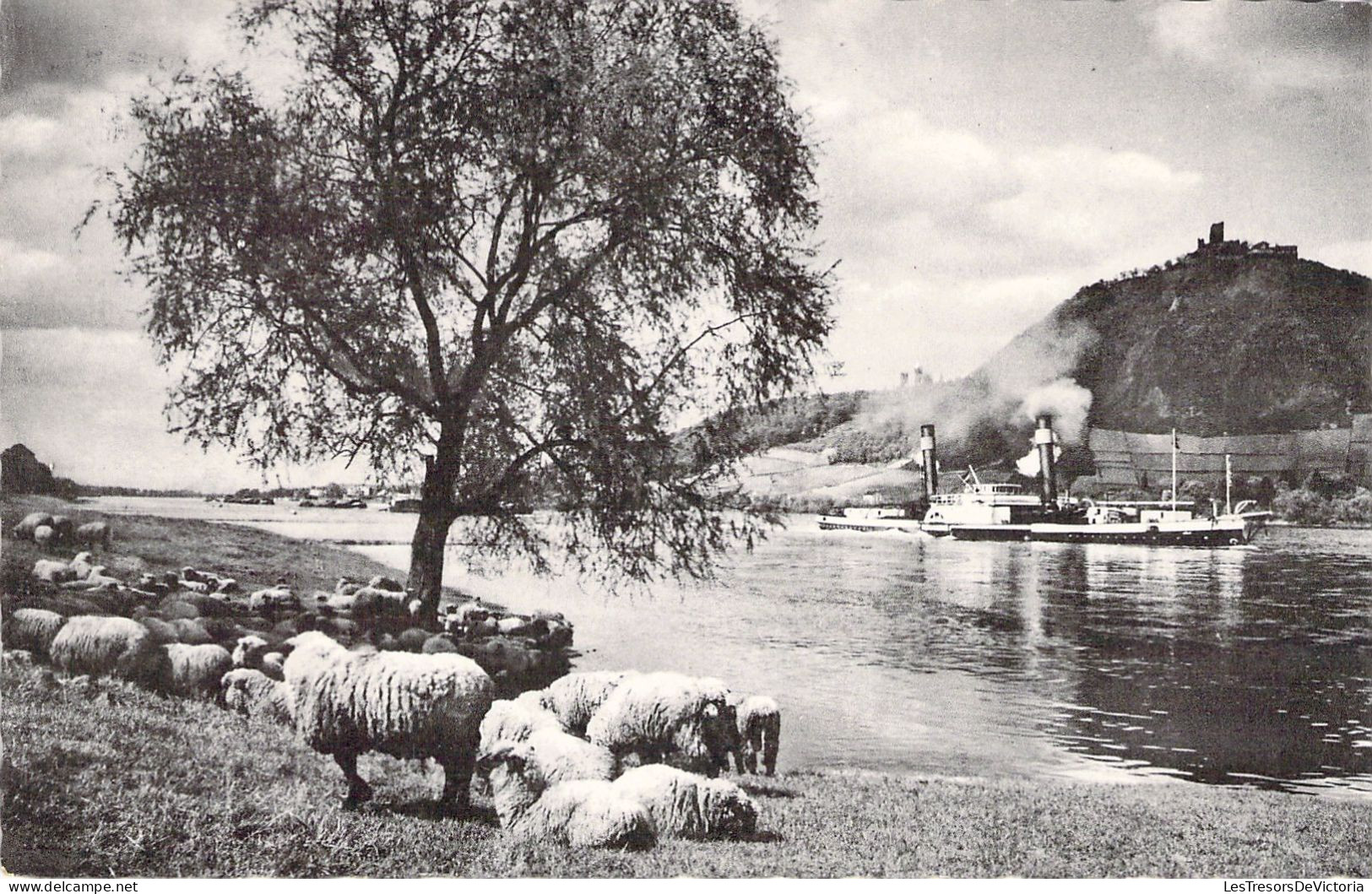 ALLEMAGNE - Abend Am Drachenfels - Cartes Postales Anciennes - Drachenfels