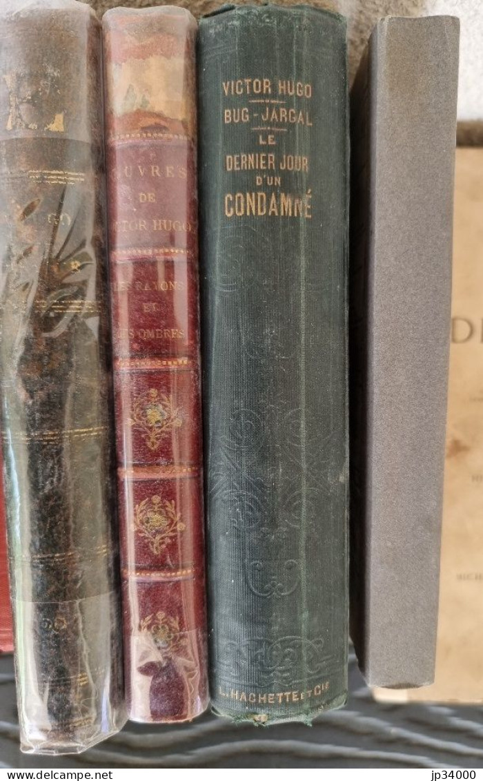 Victor Hugo. Lot De 17 Livres. (Livres 19eme, 20 Eme) Reliés, Brochés, Cartonnés - Bücherpakete