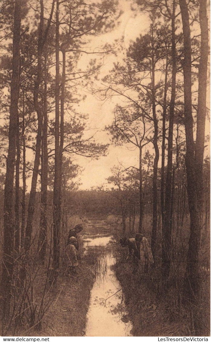 BELGIQUE - Rijmenam - Le Vennepoel - Forêt - Edit. Thys - Forêt - Ruisseau - Carte Postale Ancienne - Bonheiden