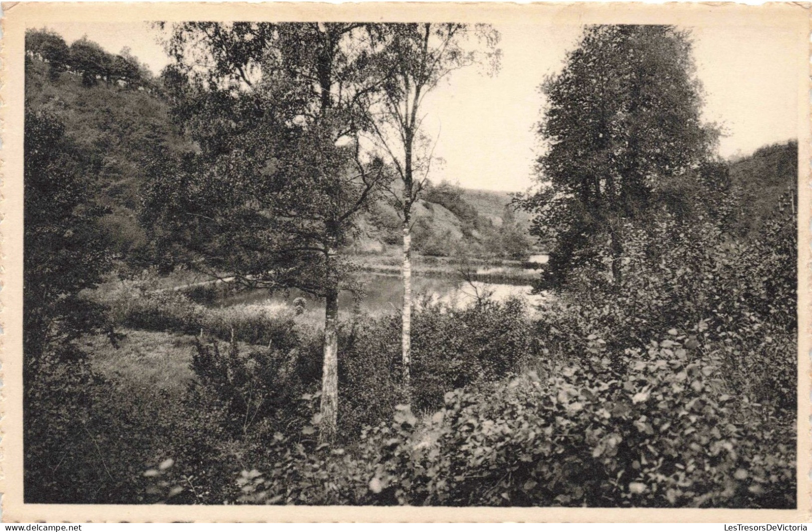 BELGIQUE - Oignies En Thiérache - Les étangs Du Ry De La Noye Vus Du Vicinal Vers Oiloy - Carte Postale Ancienne - Philippeville