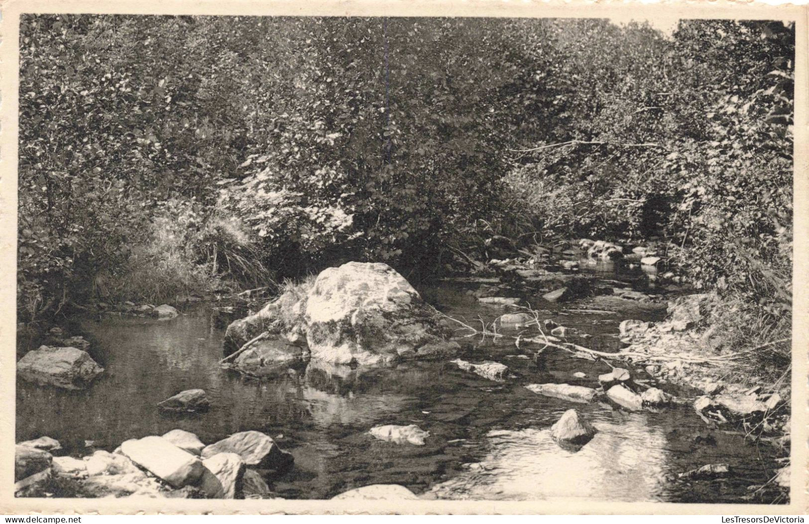 BELGIQUE - Oignies En Thiérache - L'Alisse à Chestion - Rivière - Roches - Carte Postale Ancienne - Philippeville