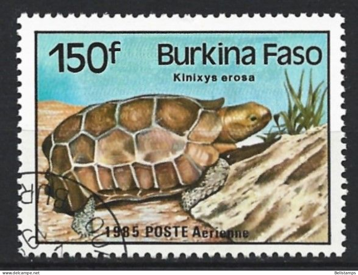 Burkina Faso 1985. Scott #701 (U) Reptile, Kinixys Erosa - Burkina Faso (1984-...)