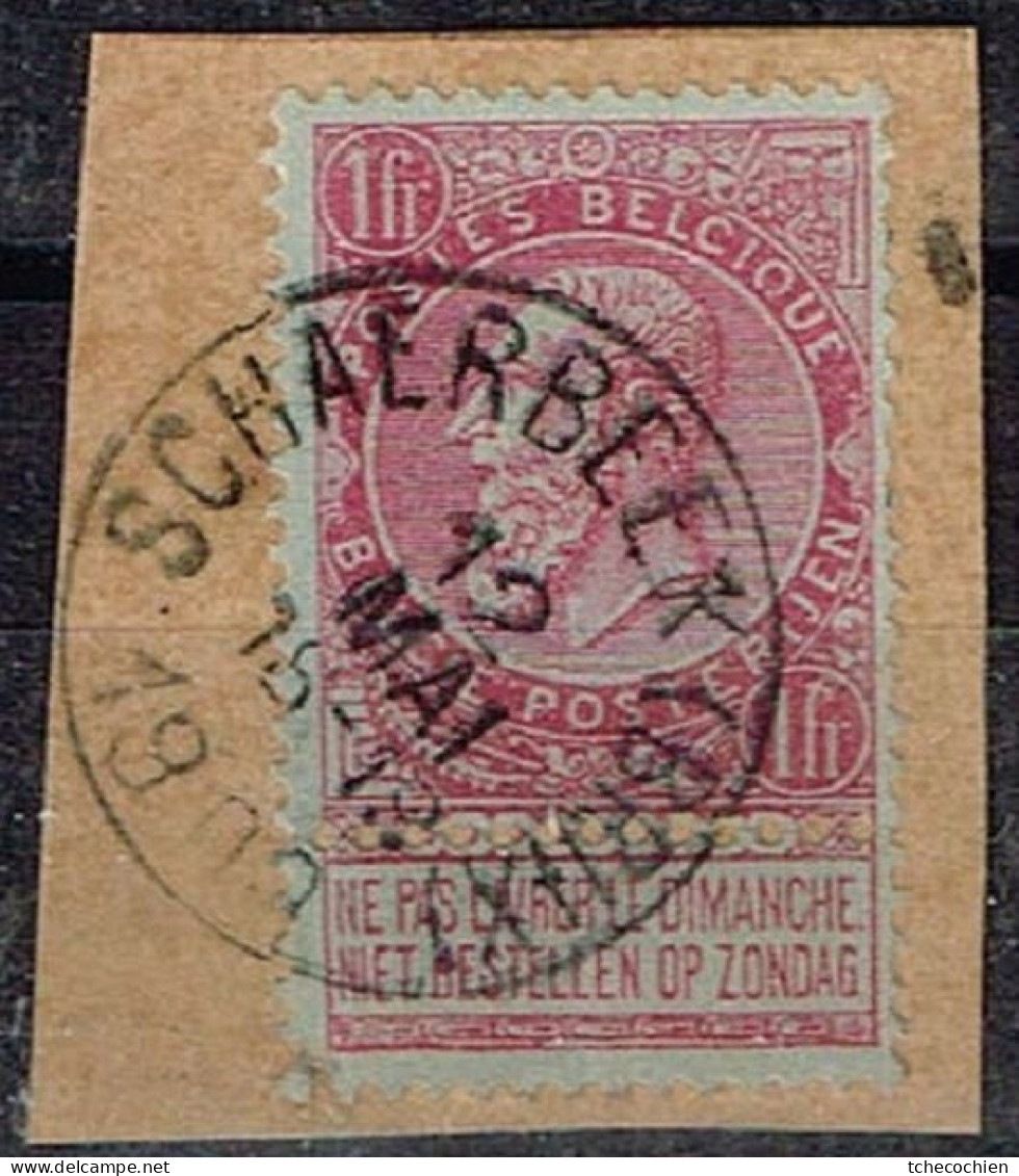 Belgique - 1893 - Y&T N° 64 Oblitéré Schaerbeek, Sur Fragment - 1849-1865 Medaillen (Sonstige)