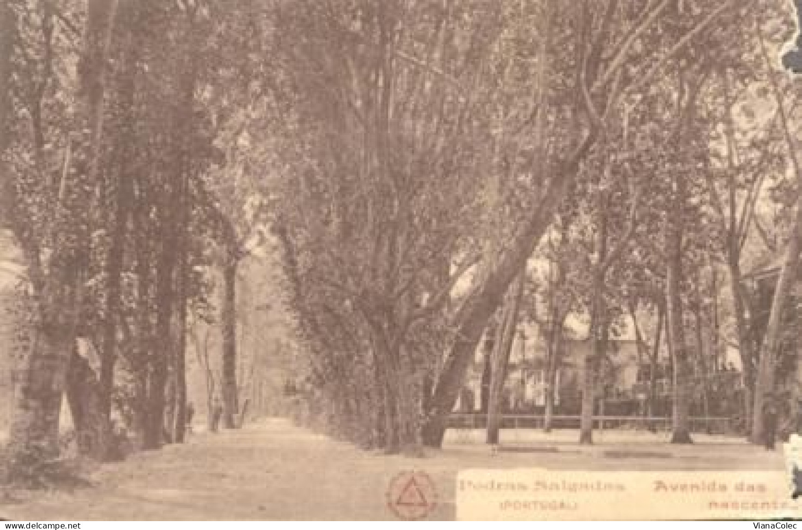 Vila Pouca De Aguiar > Bornes De Aguiar / Pedras Salgadas / Termas / Avenida Das Nascentes (1921) - Vila Real