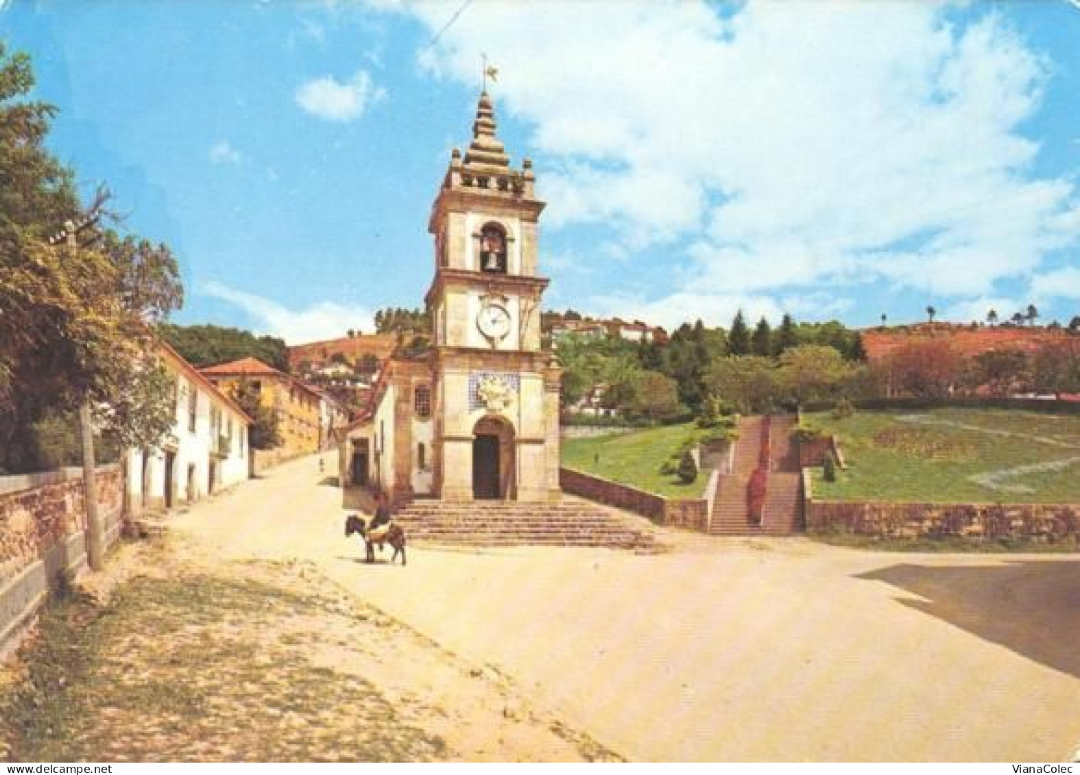 Vila Pouca De Aguiar - Igreja / Capela Do Senhor / Rua Henrique Botelho / Burro = Asno = Donkey = Âne = Esel = Asino - Vila Real