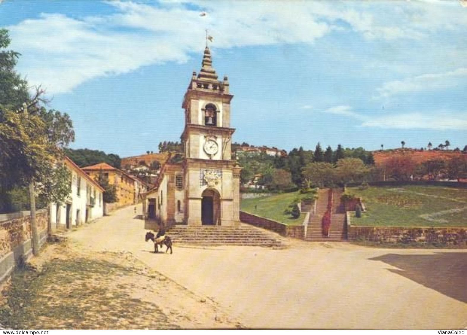 Vila Pouca De Aguiar - Igreja / Capela Do Senhor Rua Henrique Botelho / Burro = Asno = Donkey = Âne = Esel = Asino (1974 - Vila Real