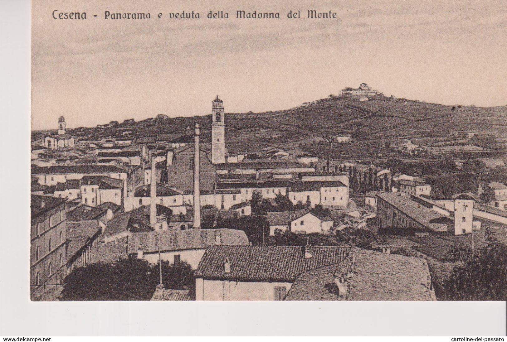 CESENA  PANORAMA E VEDUTA DELLA MADONNA DEL MONTE  NO VG - Cesena