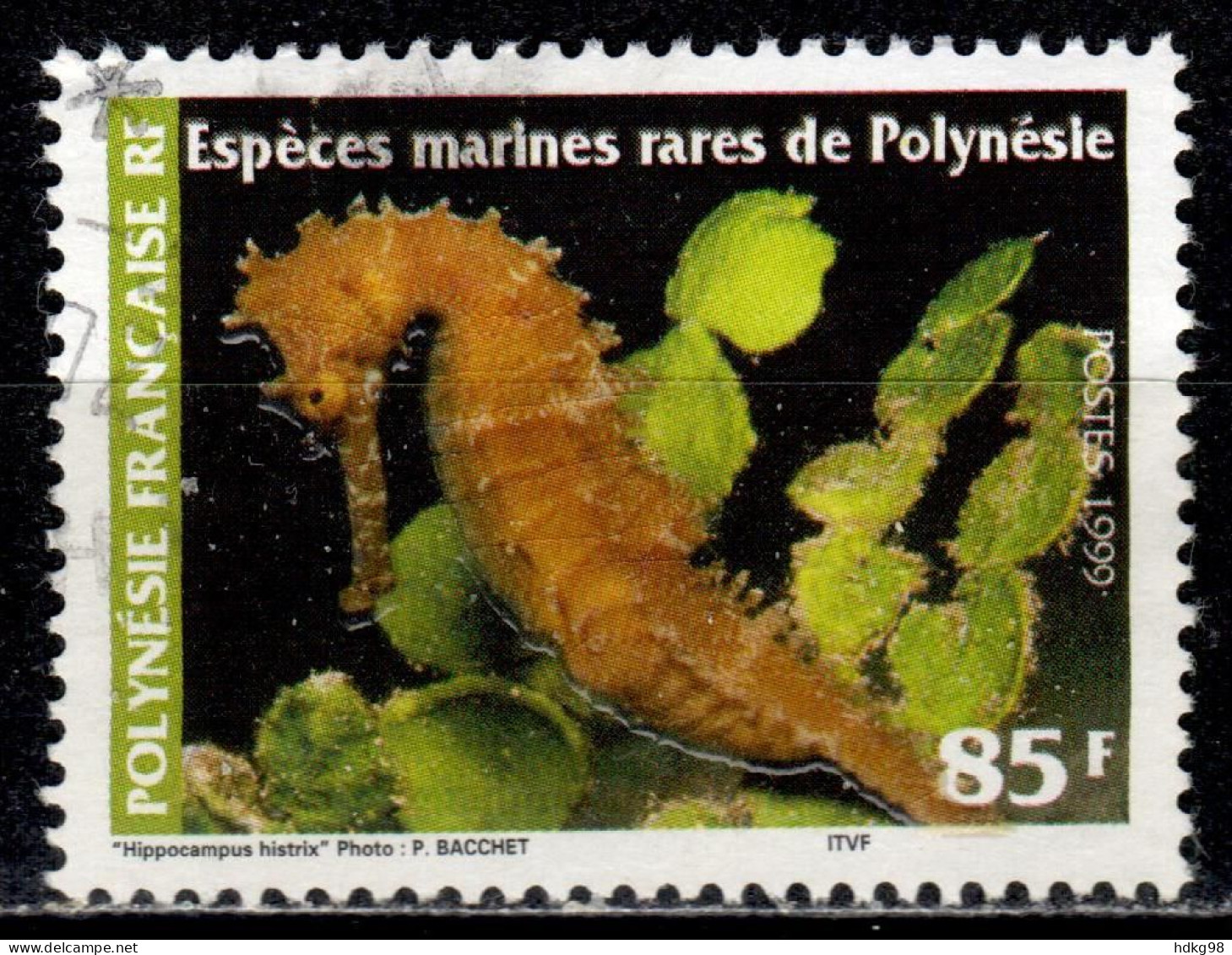 F P+ Polynesien 1999 Mi 781 Seepferdchen - Used Stamps