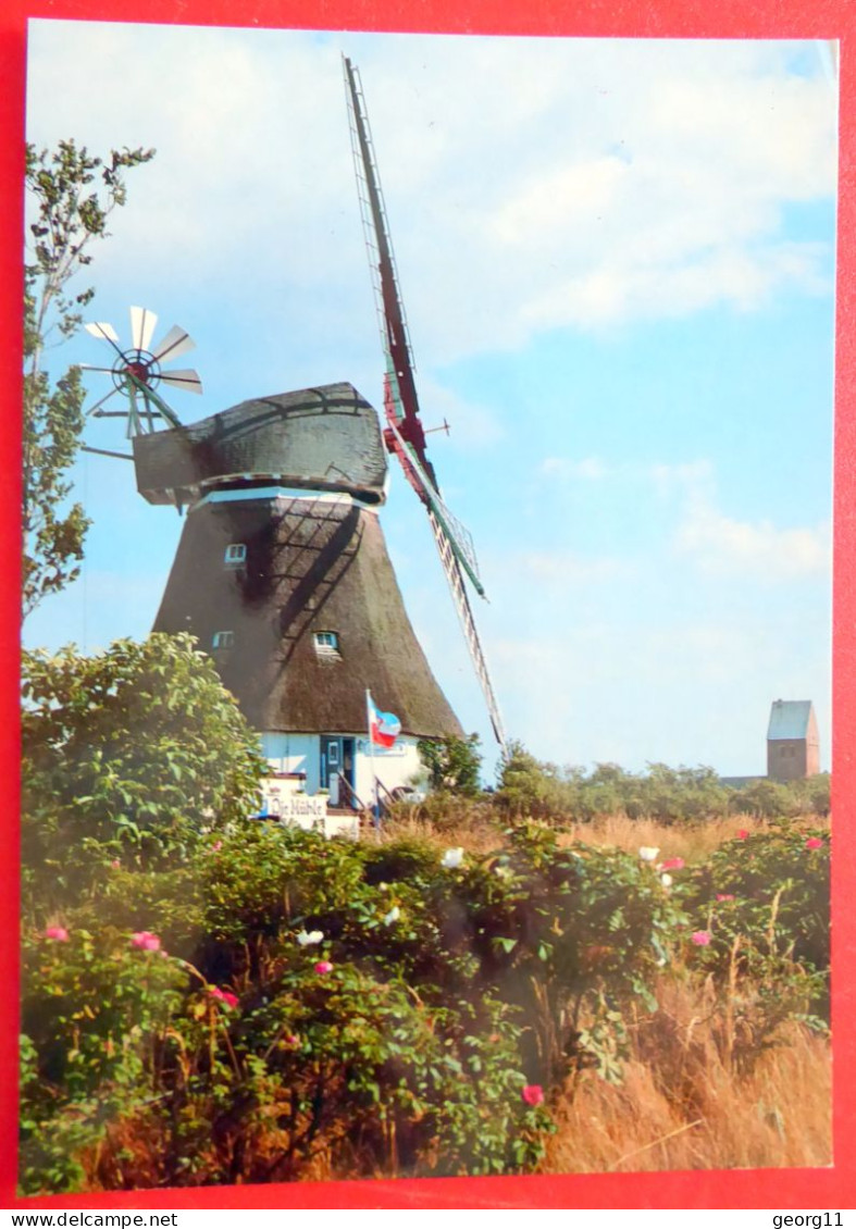 Insel Föhr - Wrixum - Mühle Windmühle - Kirche St. Nikolai - Nordfriesland - Schleswig-Holstein -Nordsee - Föhr