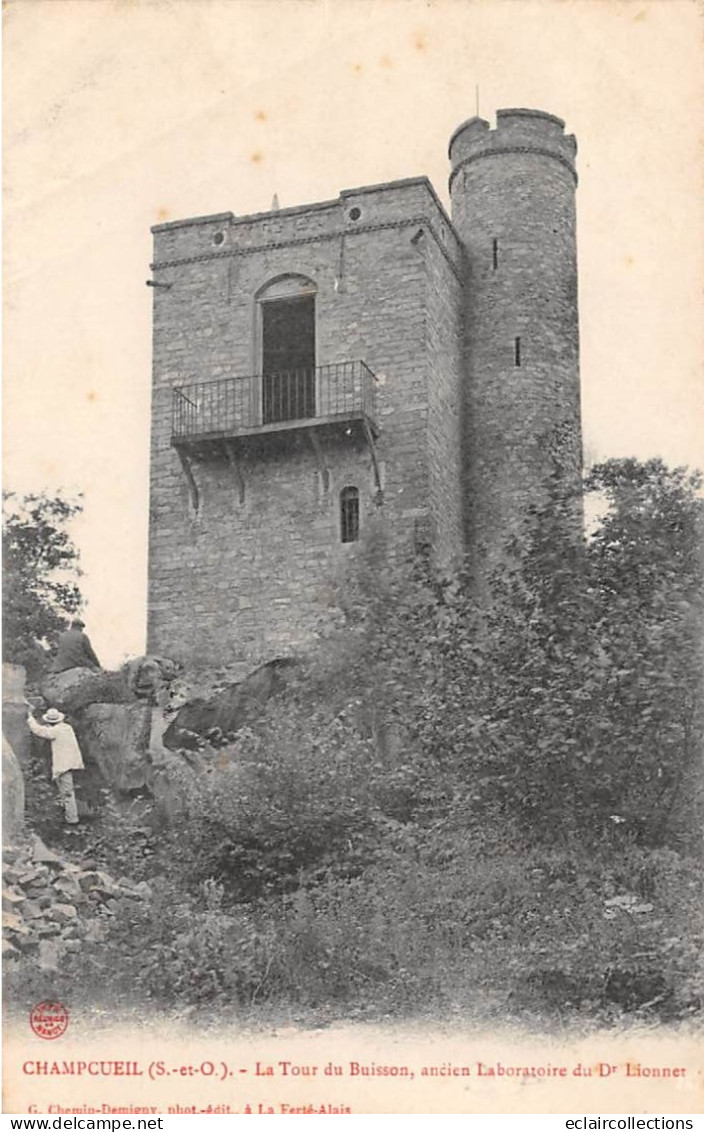 Champcueil           91         La Tour Du Buisson. Ancien Laboratoire  Du Docteur Lionnet            (voir Scan) - Altri & Non Classificati