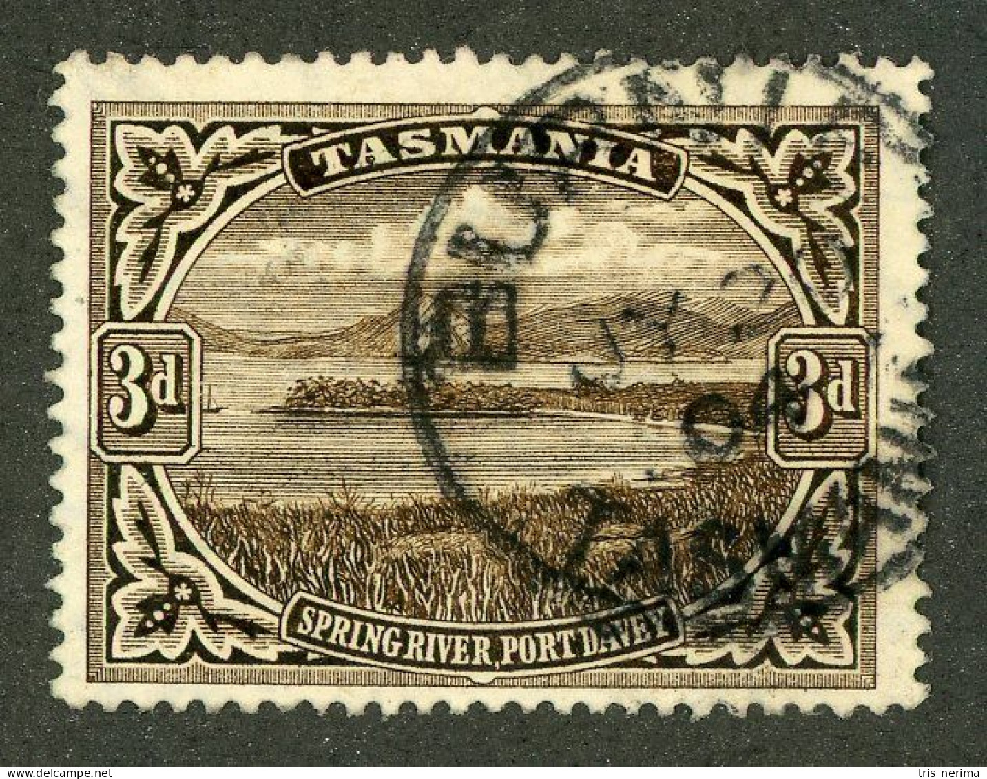 5053 BCx Tasmania 1899 Scott 90 Used (Lower Bids 20% Off) - Oblitérés