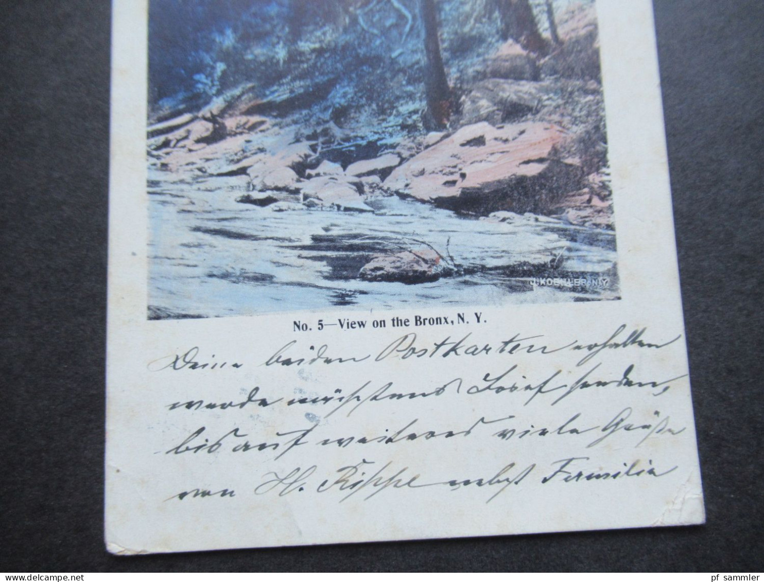 USA 1900 AK No 5 View On The Bronx, N.Y. Foto J. Koehler NY Als Auslands PK Nach Bremen Gesendet - Cartas & Documentos