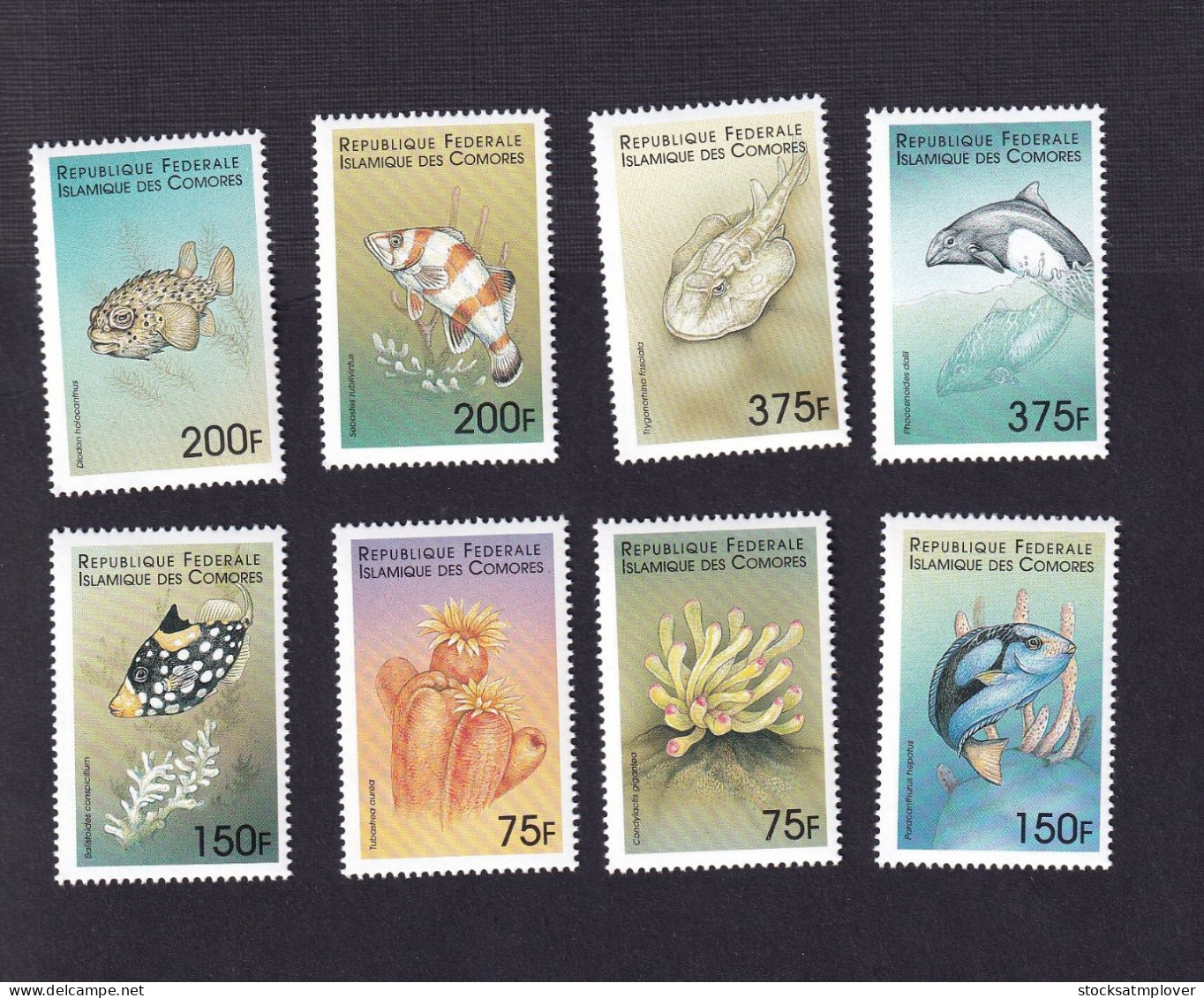 Comoros  1999  Marine Life  Fish  SCOTT No. 878-85  I202302 - Comores (1975-...)