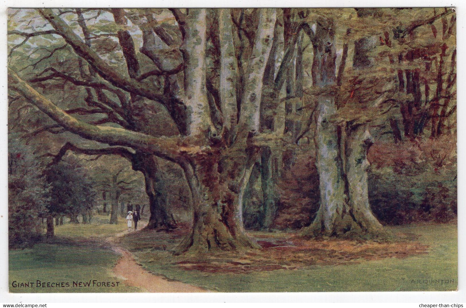A.R.QUINTON - Giant Beeches, New Forest - Salmon *1839 - Quinton, AR