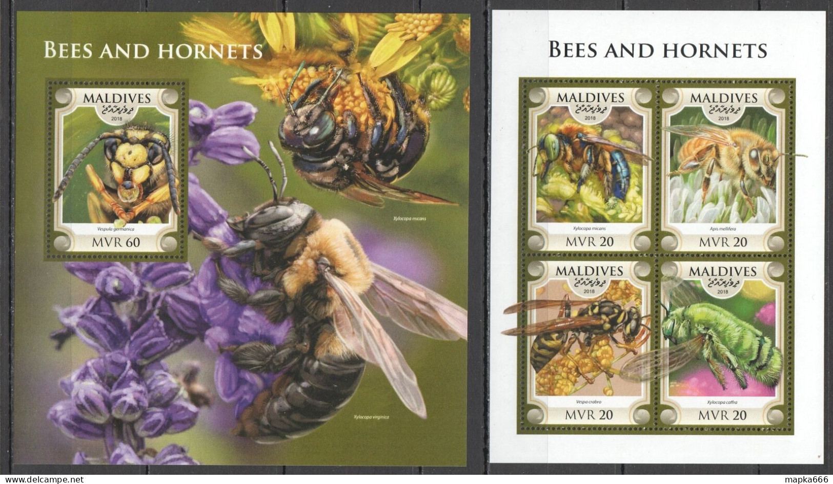 HM0581 2018 MALDIVES BEES & HORNETS FLOWERS FAUNA INSECTS #7633-6+BL1192 MNH - Abeilles