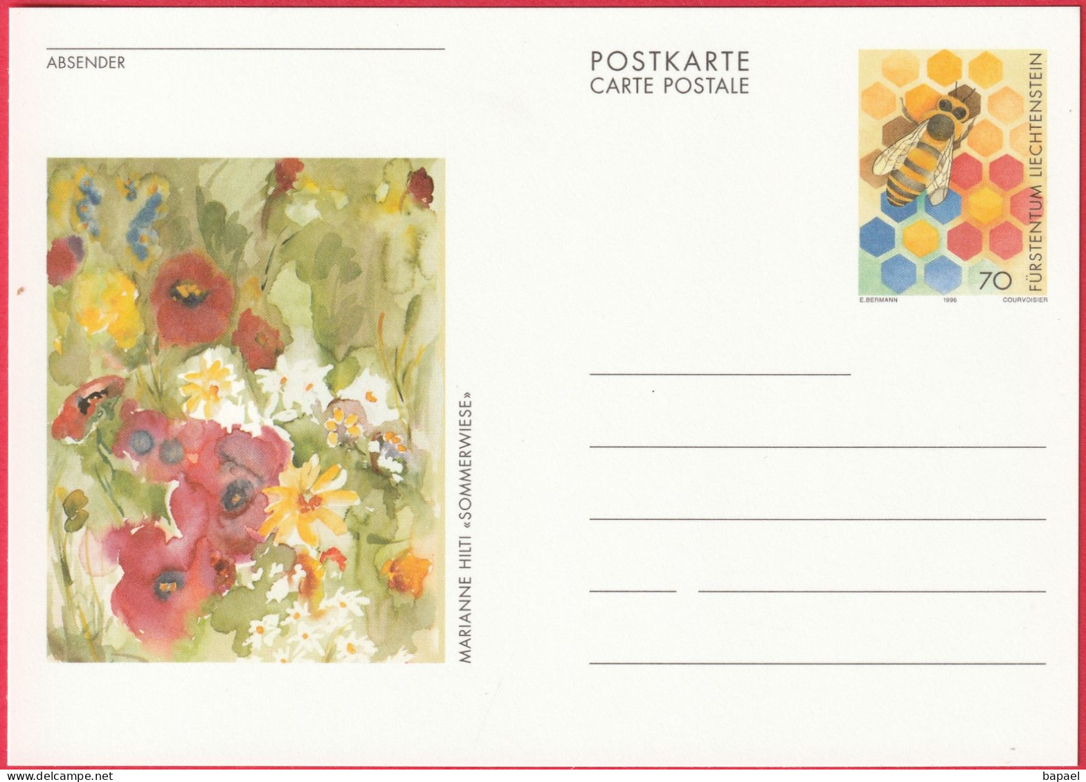 Entier Postal (CP) Du Liechtenstein (1996) - Sommerwiese (prairie D'Été) De Marianne Hilti - Postwaardestukken