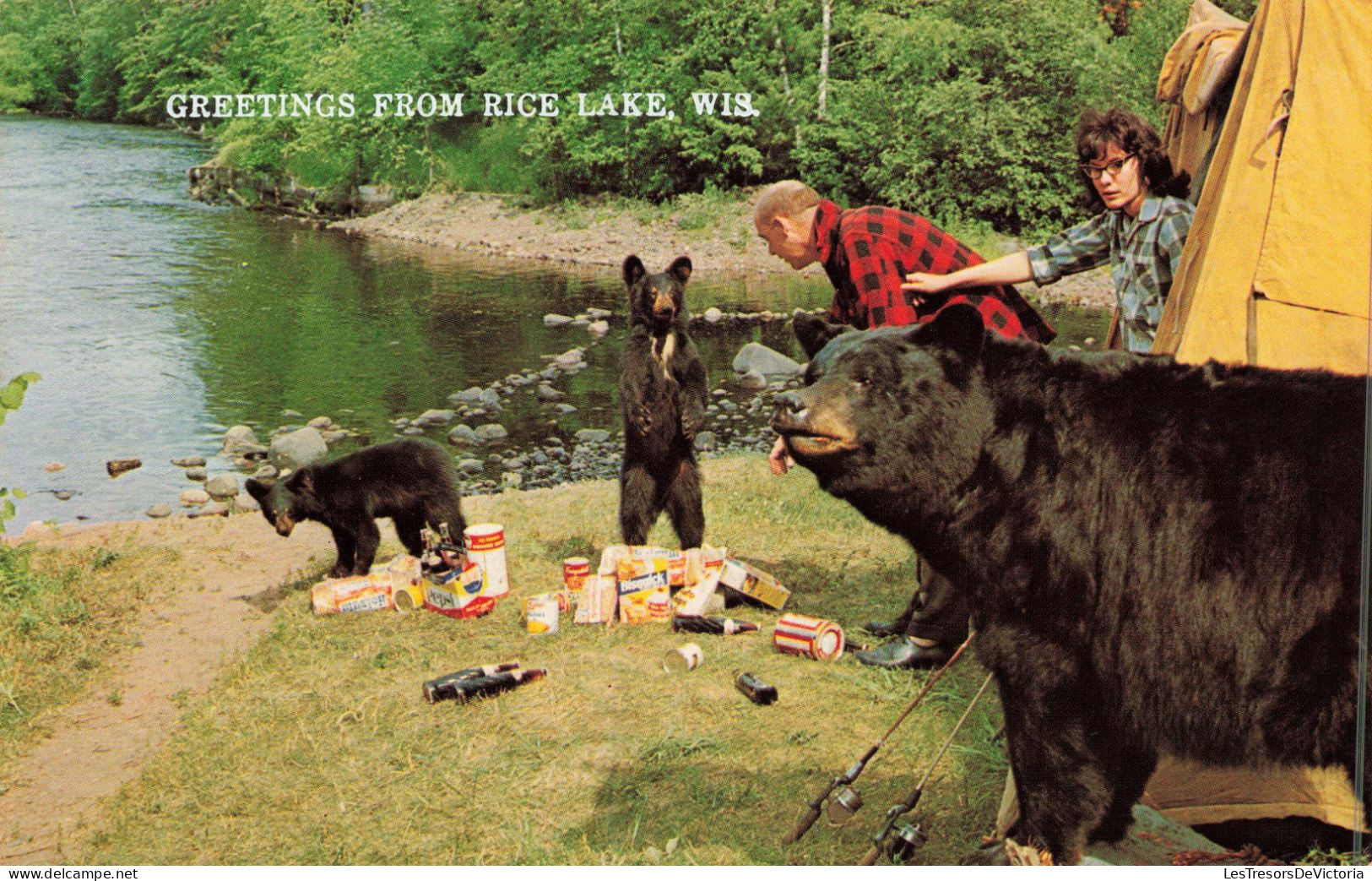 ETATS-UNIS - Wisconsin - Greetings From Rice Lake - Bears - Camping - Lake - Animé - Carte Postale Ancienne - Sonstige & Ohne Zuordnung