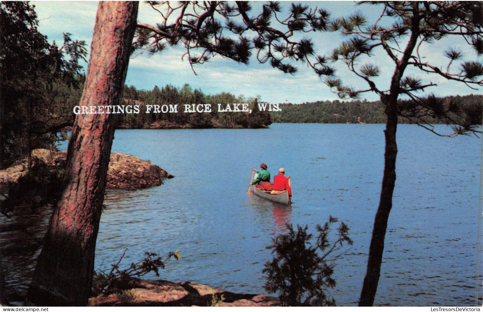 ETATS-UNIS - Wisconsin - Greetings From Rice Lake - Bears - Canoë - Lake - Animé - Carte Postale Ancienne - Autres & Non Classés