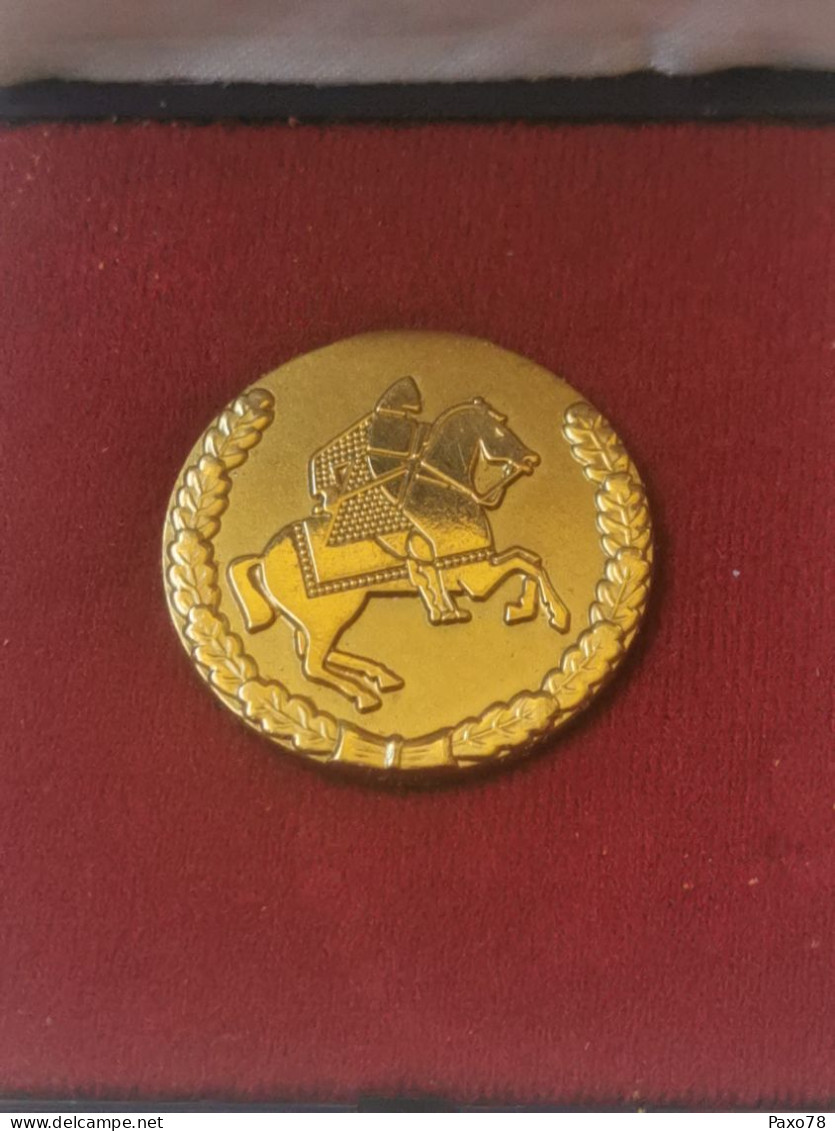 Luxembourg Médaille, Marche De L'armée Luxembourg - Altri & Non Classificati