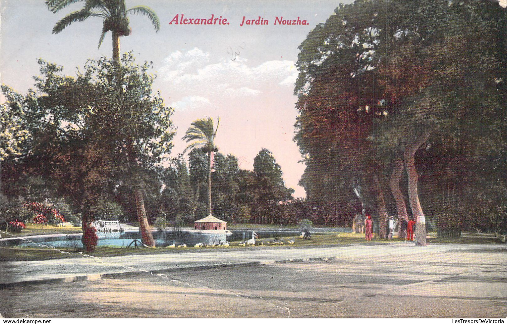 EGYPTE - ALEXANDRIE - Jardin Nouzha - Etat Pliure - Carte Postale Ancienne - Autres & Non Classés