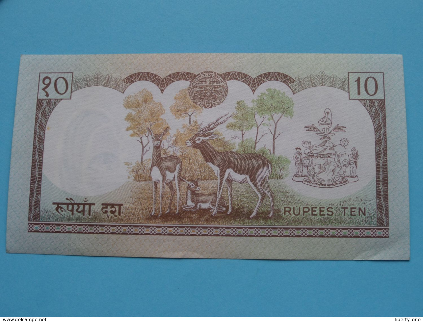 10 Rupees () NEPAL ( For Grade See SCANS ) XF ! - Népal