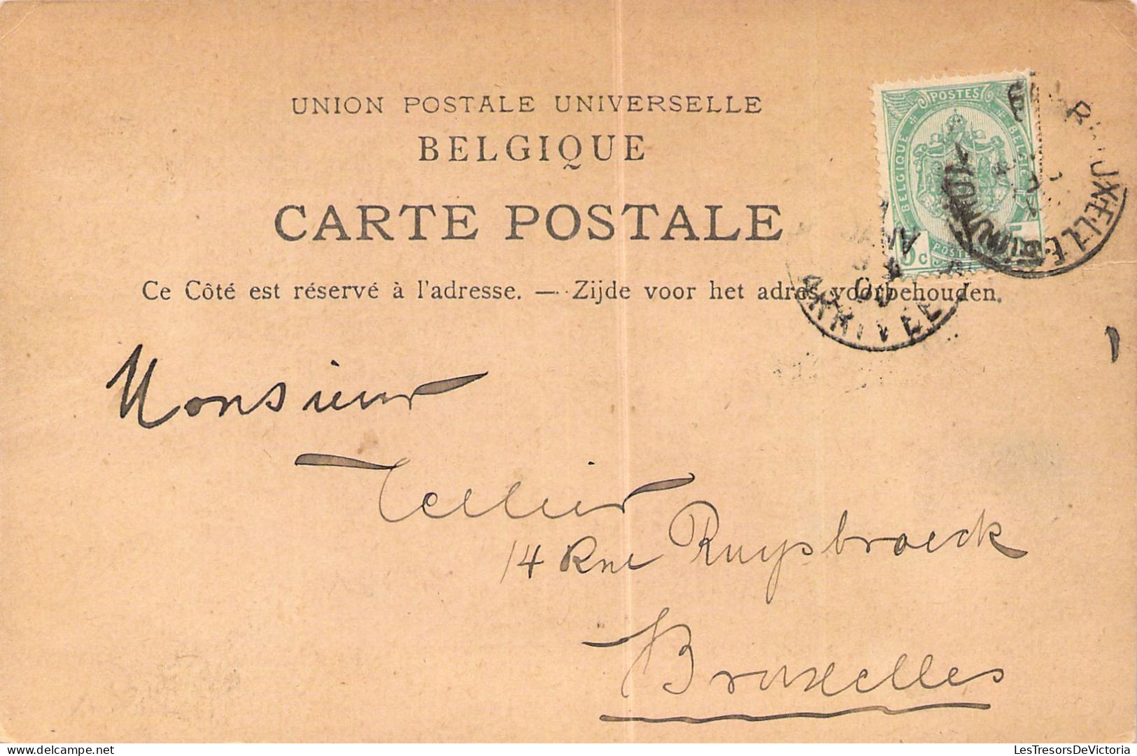 FLEURS - Illustration Non Signée - Tournesol - 1900 - Village Enneigé - Carte Postale Ancienne - Fleurs
