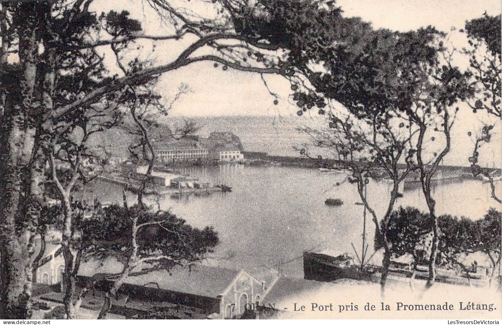 ALGERIE - Oran - Le Port Pris De La Promenade Létang - Carte Postale Ancienne - Oran