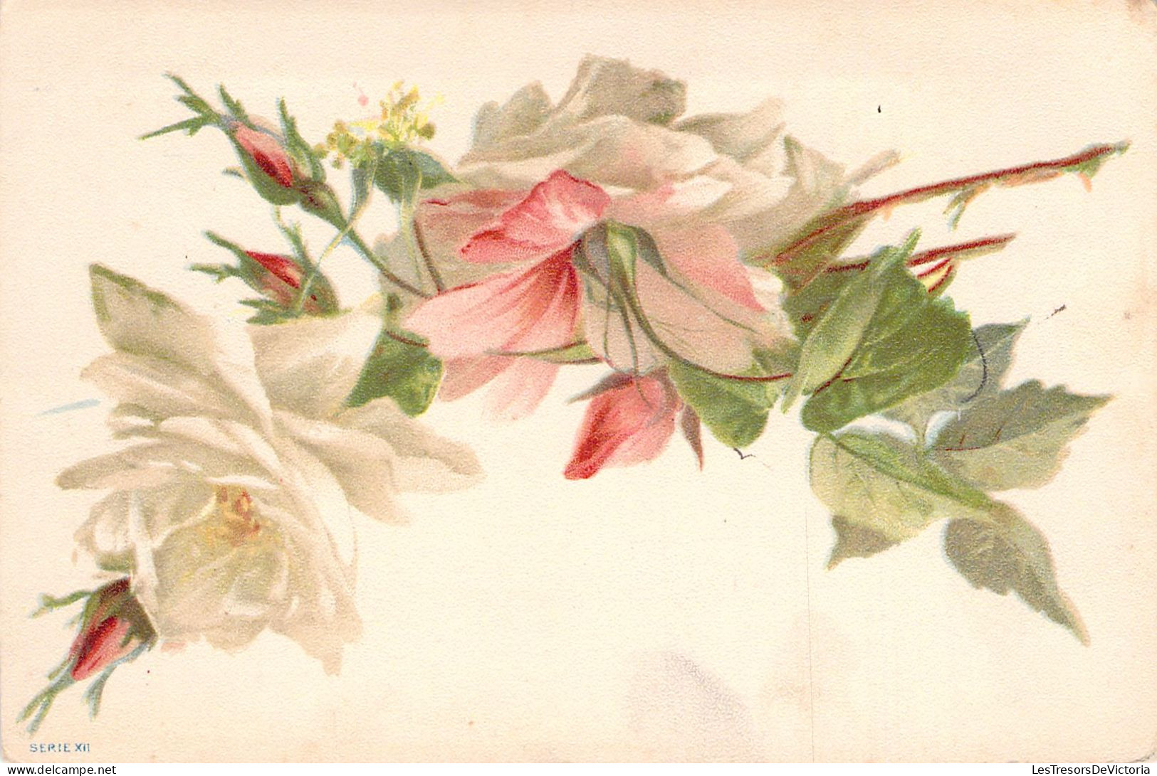 FLEURS - Illustration Non Signée - Rose Bi Colore - Carte Postale Ancienne - Blumen